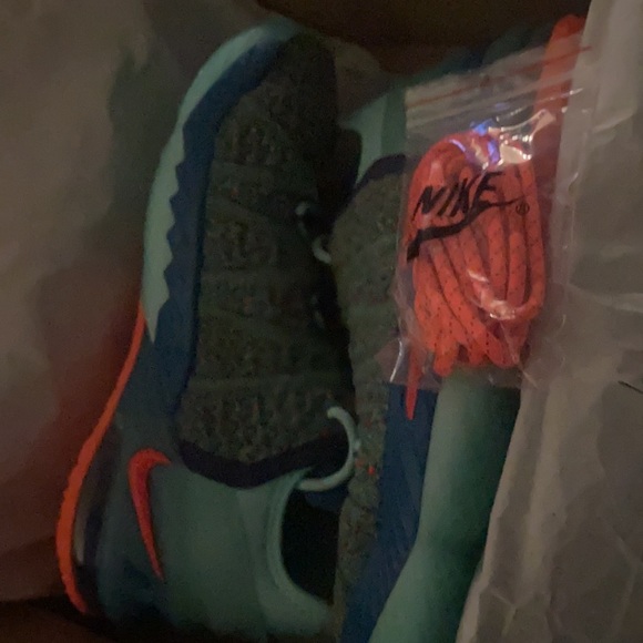 Lebron XVIII shoes brand new